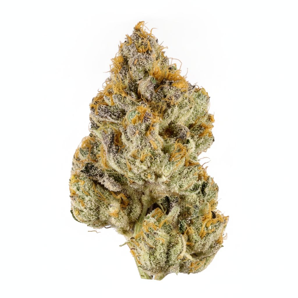 Violet Fog Strain